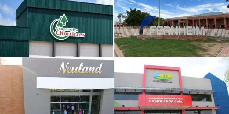 Chortitzer, Fernheim, Neuland y La Holanda entre las cooperativas más valiosas de Paraguay