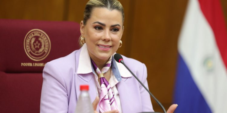 Senadora aboga por justicia equitativa ante el proyecto de ley que crea juzgados especializados con enfoque de género