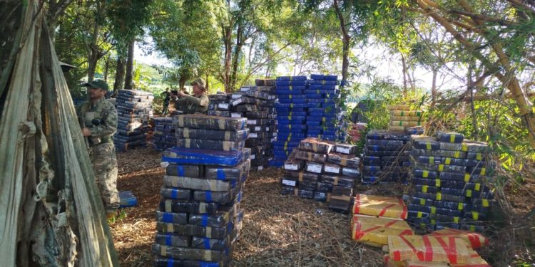 Operativo Marangatu: Incautación de 48 toneladas de marihuana figura como un golpe histórico al narcotráfico
