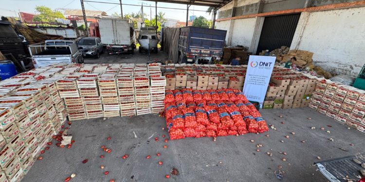 Decomisan 20.000 kilos de tomate ingresados ilegalmente a nuestro país
