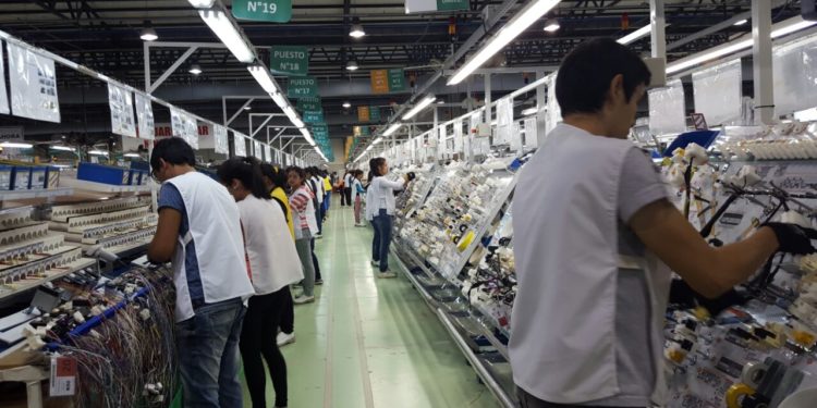 Fuga de talento joven: El 70% continúa buscando empleo en Paraguay