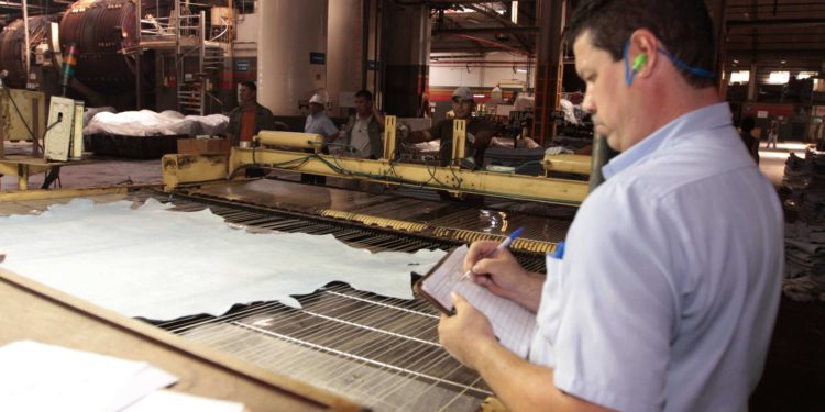 La industria nacional del cuero podría recuperar nichos de mercados europeos muy competitivos