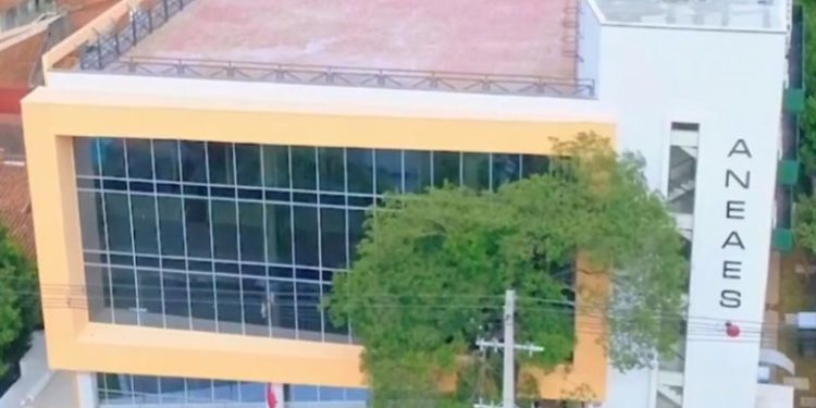 ANEAES lanzará campaña para promover la elección de carreras acreditadas