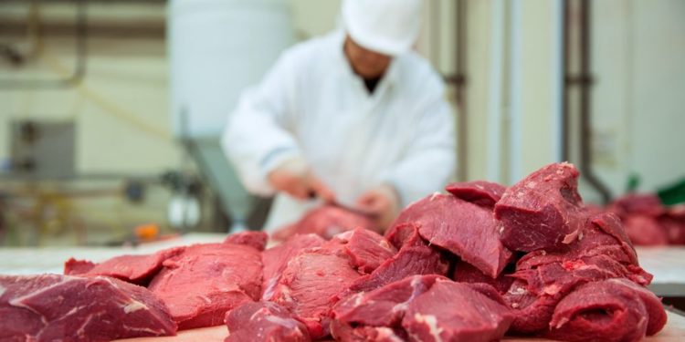 Estados Unidos se convierte en el tercer mayor destino de la carne paraguaya