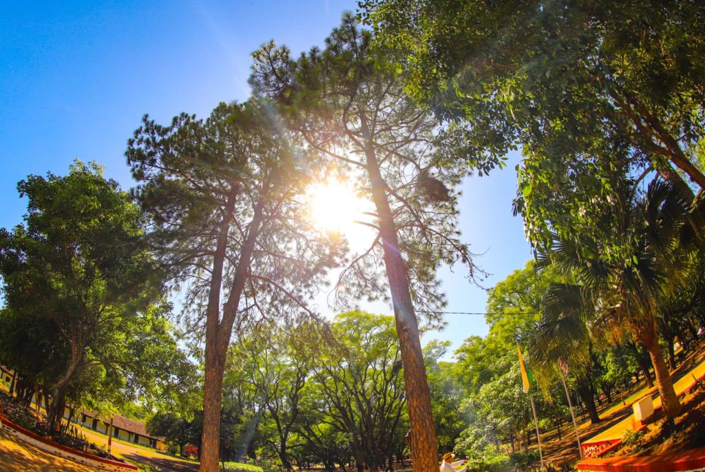 Miércoles con ambiente fresco a cálido y sin lluvias a nivel nacional
