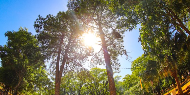Miércoles con ambiente fresco a cálido y sin lluvias a nivel nacional