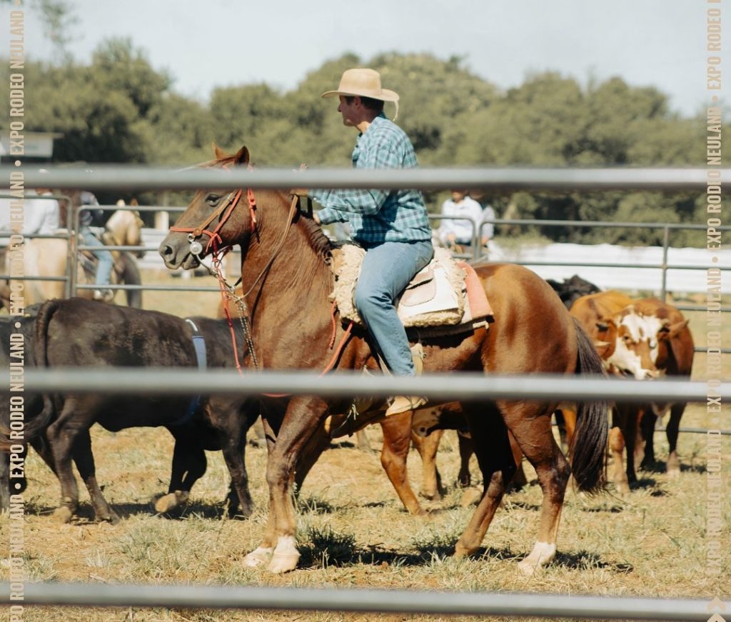 La Expo Rodeo Neuland esta noche por el Chaco Avanza La Expo Rodeo Neuland esta noche por el Chaco Avanza