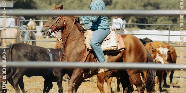 La Expo Rodeo Neuland esta noche por el Chaco Avanza