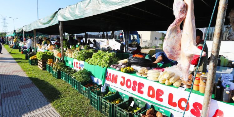 Hambre Cero: Gobierno decreta adquisición obligatoria de la agricultura familiar y Mipymes