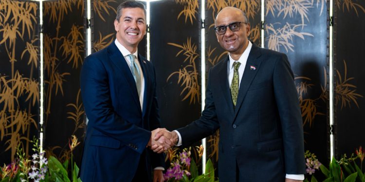 Paraguay celebra la apertura del mercado de Singapur para carnes nacionales