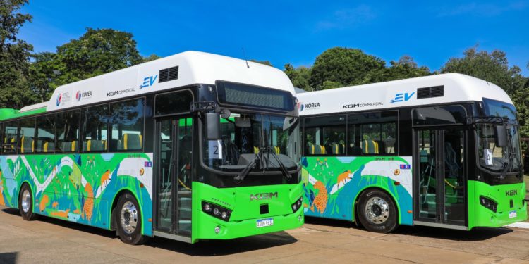 Buses eléctricos donados por Corea del Sur iniciaron operaciones en Hernandarias Buses eléctricos donados por Corea del Sur iniciaron operaciones en Hernandarias