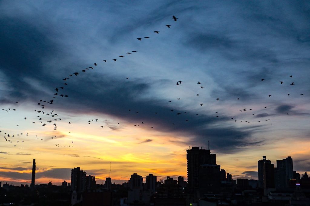 Importante descenso de las temperaturas