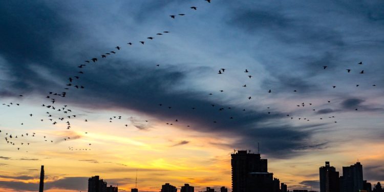 Importante descenso de las temperaturas Importante descenso de las temperaturas