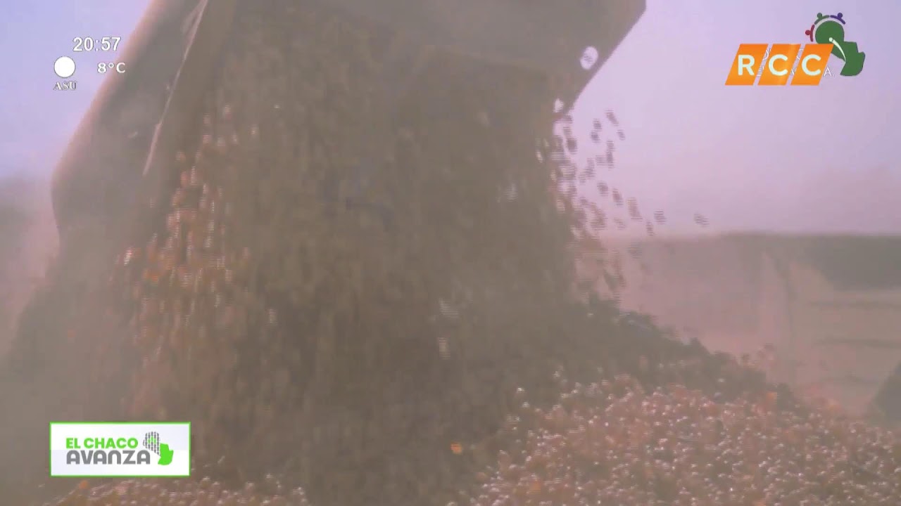 Video: EL CHACO AVANZA | Aceitera Pioneros