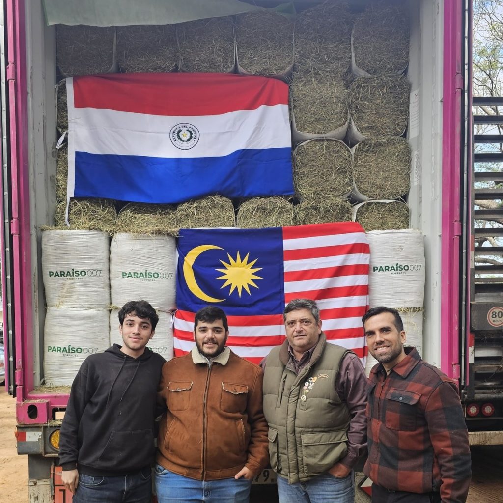 Heno chaqueño a Malasia: enviaron unos 20 mil kilos y se sigue abriendo camino en el comercio internacional