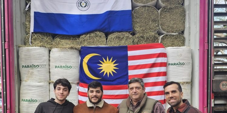 Heno chaqueño a Malasia: enviaron unos 20 mil kilos y se sigue abriendo camino en el comercio internacional