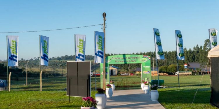 Cooprolanda, la exposición de genética lechera más importante del Paraguay arranca este miércoles Cooprolanda, la exposición de genética lechera más importante del Paraguay arranca este miércoles