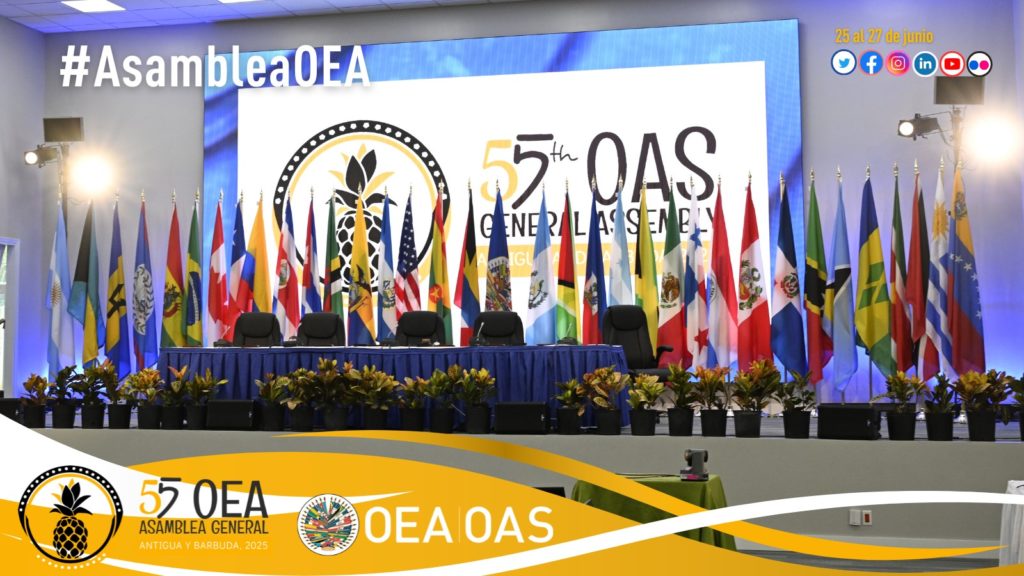 En la 55ª Asamblea de la OEA, Paraguay sostiene una posición clara en favor de la vida, la familia y contra la ideología de género En la 55ª Asamblea de la OEA, Paraguay sostiene una posición clara en favor de la vida, la familia y contra la ideología de género