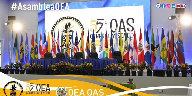 En la 55ª Asamblea de la OEA, Paraguay sostiene una posición clara en favor de la vida, la familia y contra la ideología de género
