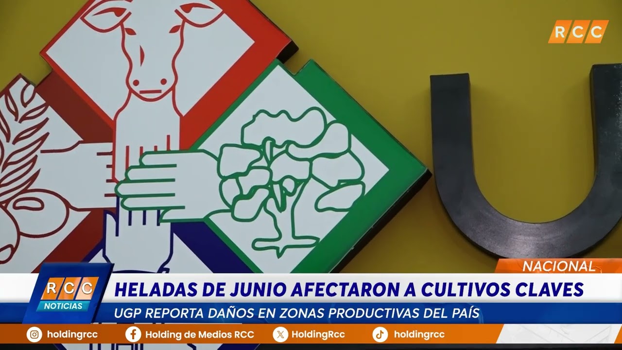 Video: Heladas de junio dejaron secuelas en cultivos clave, según la UGP