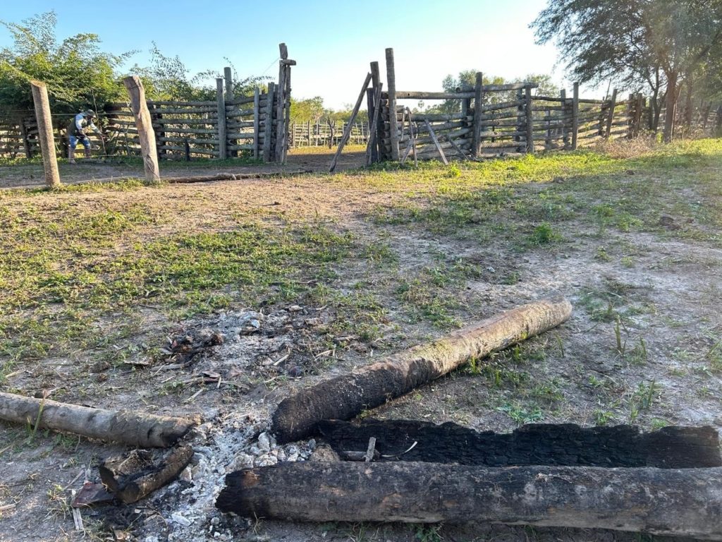 Investigan a un hombre en el Chaco por falsificación de documentos públicos y contrabando de ganado Investigan a un hombre en el Chaco por falsificación de documentos públicos y contrabando de ganado