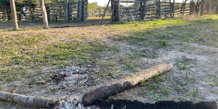 Investigan a un hombre en el Chaco por falsificación de documentos públicos y contrabando de ganado Investigan a un hombre en el Chaco por falsificación de documentos públicos y contrabando de ganado