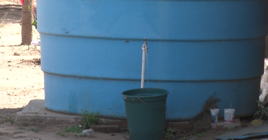 Temen sequía en comunidad San Loewen por falta de acceso a agua potable