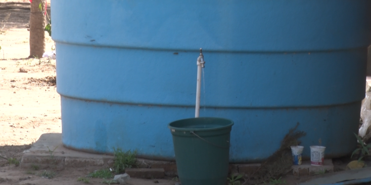 Temen sequía en comunidad San Loewen por falta de acceso a agua potable Temen sequía en comunidad San Loewen por falta de acceso a agua potable