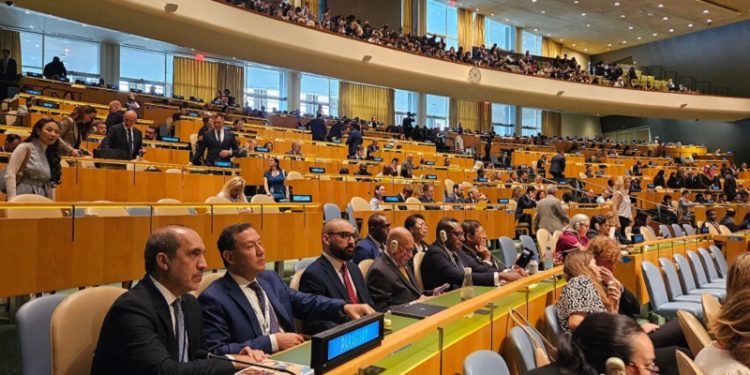 Paraguay “se planta” en foro político sobre Desarrollo Sostenible de Naciones Unidas