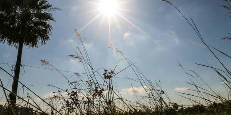 Ambiente fresco a cálido para los próximos días Ambiente fresco a cálido para los próximos días