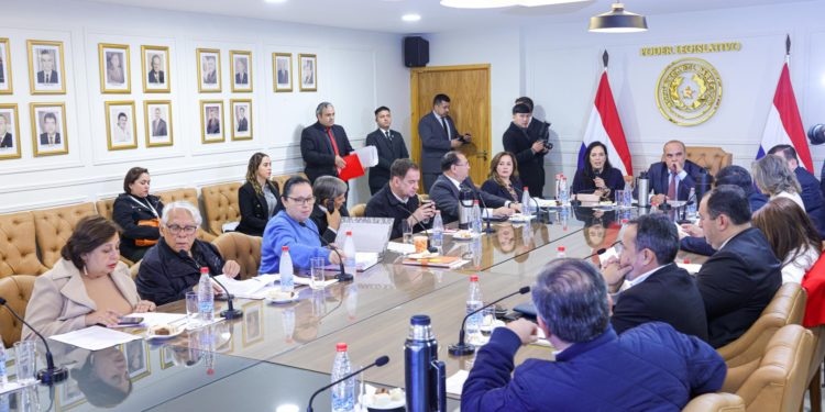 MOPC expone ante directiva del Senado proyecto de reforma del transporte público