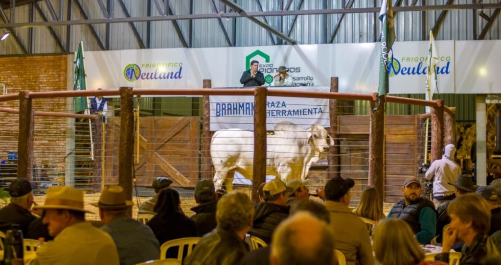 Hoy gran remate de reproductores PDC en vivo por TV Chaqueña