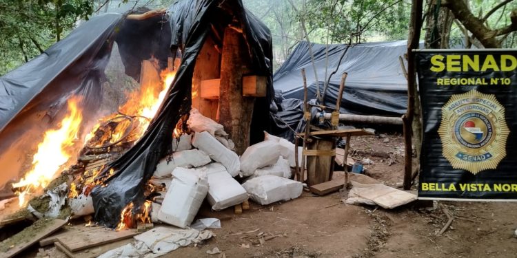 SENAD desmantela base narco y anula cerca de 17 toneladas de marihuana