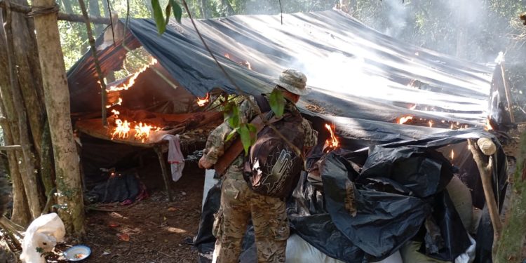 Más de un millón de kilos de marihuana fuera del mercado en solo 12 días de operaciones Más de un millón de kilos de marihuana fuera del mercado en solo 12 días de operaciones