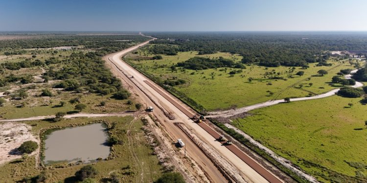 Fauna protegida en el Bajo Chaco durante las obras del Lote 2 de la Ruta PY12