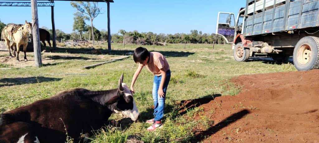 Preocupación en Fuerte Olimpo: pequeños ganaderos liquidan su hacienda por temor al abigeato Preocupación en Fuerte Olimpo: pequeños ganaderos liquidan su hacienda por temor al abigeato
