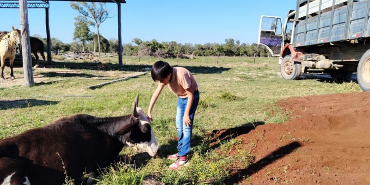 Preocupación en Fuerte Olimpo: pequeños ganaderos liquidan su hacienda por temor al abigeato Preocupación en Fuerte Olimpo: pequeños ganaderos liquidan su hacienda por temor al abigeato