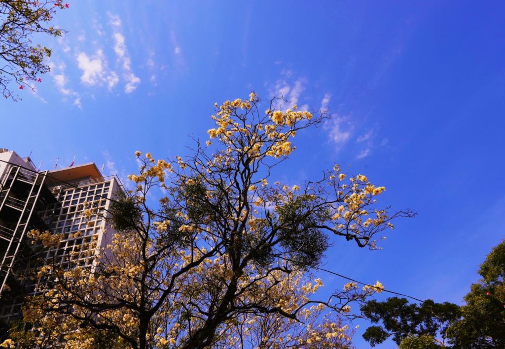 Jornadas cálidas y cielo parcialmente nublado