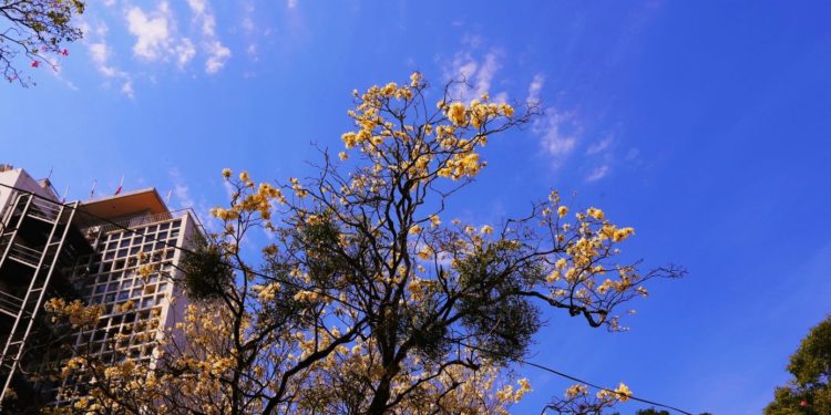 Jornadas cálidas y cielo parcialmente nublado