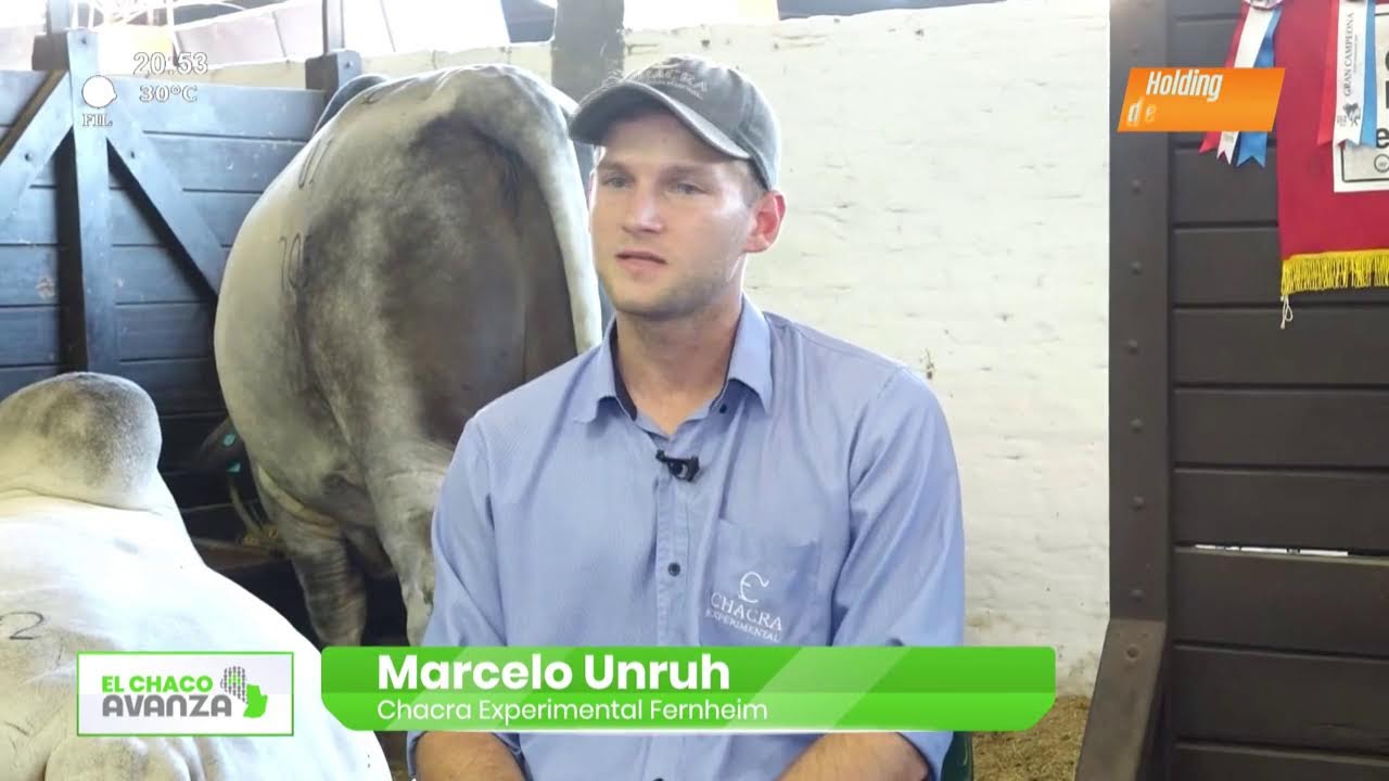 Video: EL CHACO AVANZA | Chacra Experimental