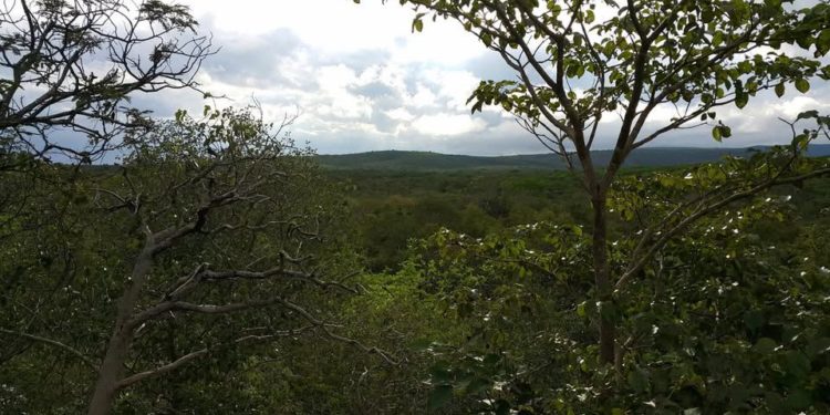 Parque Nacional Defensores del Chaco clausurado temporalmente tras hallazgo de Beinot Parque Nacional Defensores del Chaco clausurado temporalmente tras hallazgo de Beinot
