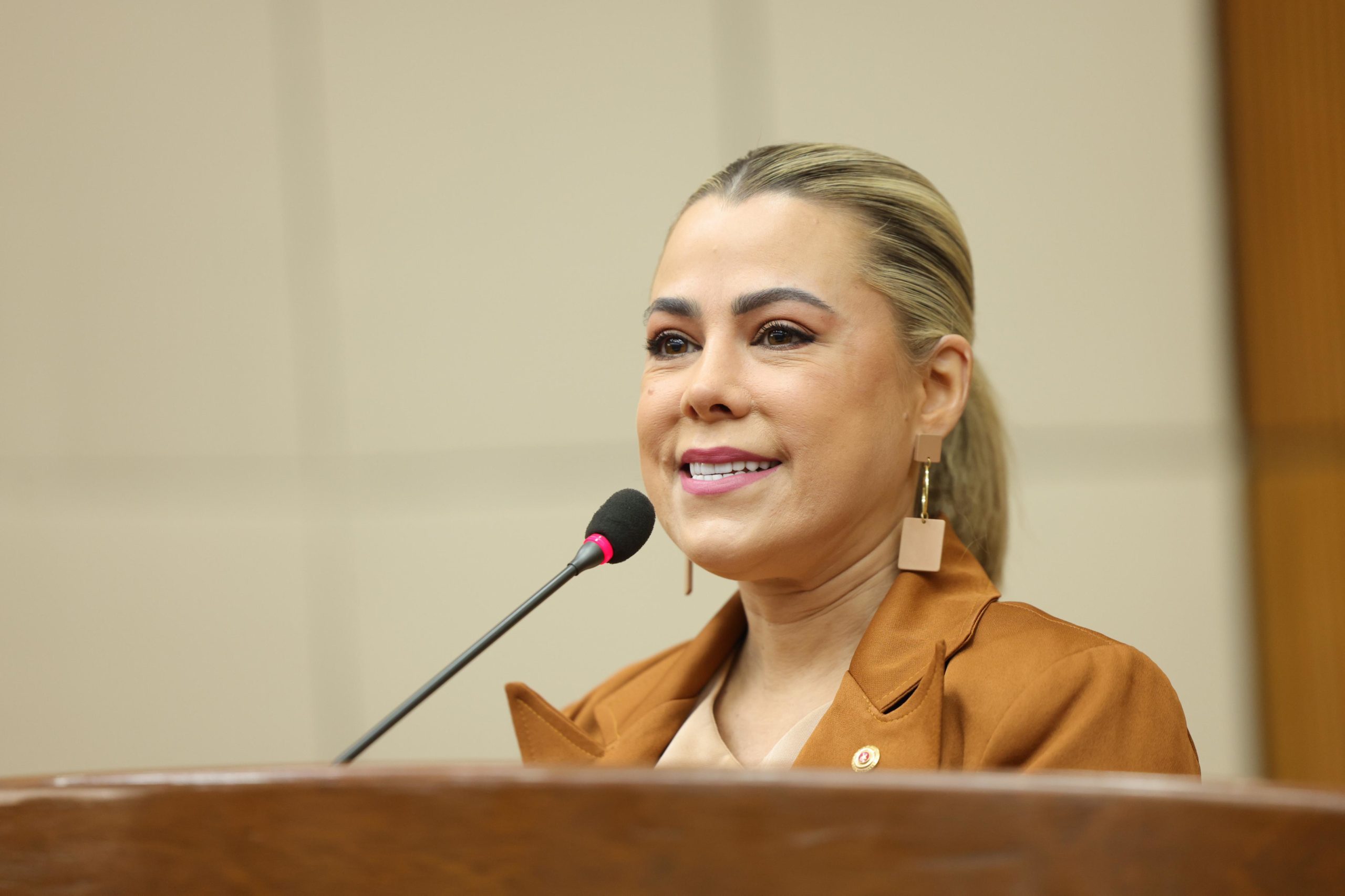 Lizarella Valiente defiende proyecto de ley sobre protección de datos en la era digital