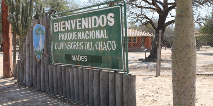 Parque Cerro León: MADES prevé reabrir el acceso en 30 días