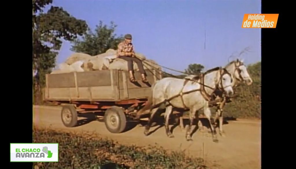 Mirada hacia el futuro: ¿Qué le depara a la Colonia Menno?