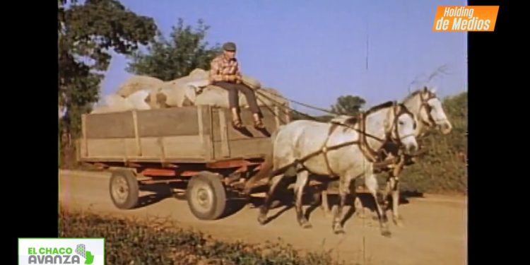 Mirada hacia el futuro: ¿Qué le depara a la Colonia Menno? Mirada hacia el futuro: ¿Qué le depara a la Colonia Menno?