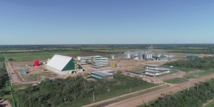 Industria aceitera de Pioneros del Chaco será inaugurada en septiembre con inversión superior a USD 45 millones Industria aceitera de Pioneros del Chaco será inaugurada en septiembre con inversión superior a USD 45 millones