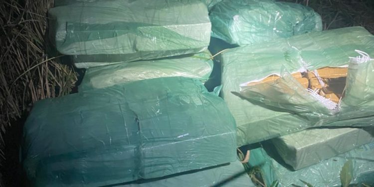 Hallan bolsas con supuesta marihuana en General Díaz