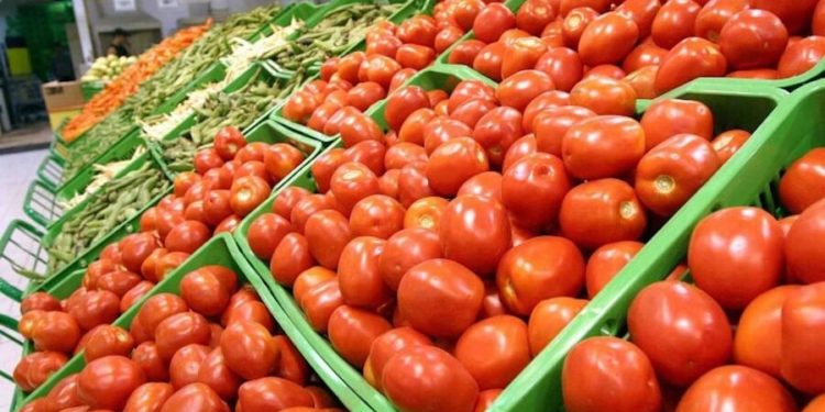 Productores frutihortícolas rechazan importación de tomates y aseguran abastecimiento nacional