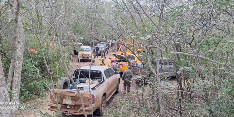 La búsqueda de Benoit en Alto Paraguay recibe el apoyo de bomberos de Argentina y un can rastreador La búsqueda de Benoit en Alto Paraguay recibe el apoyo de bomberos de Argentina y un can rastreador