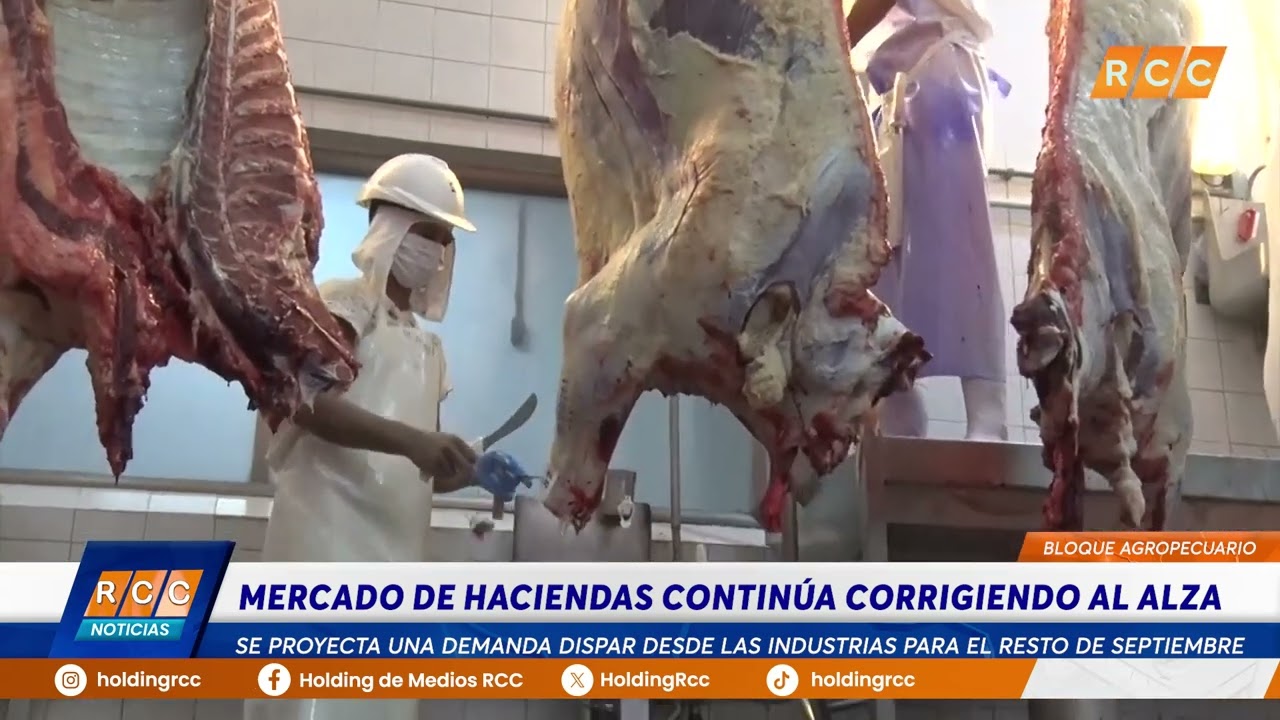 Video: BLOQUE AGROPECUARIO: GUILLERMO CRAMPET – VALOR AGRO